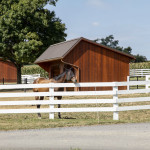 Run In Shed